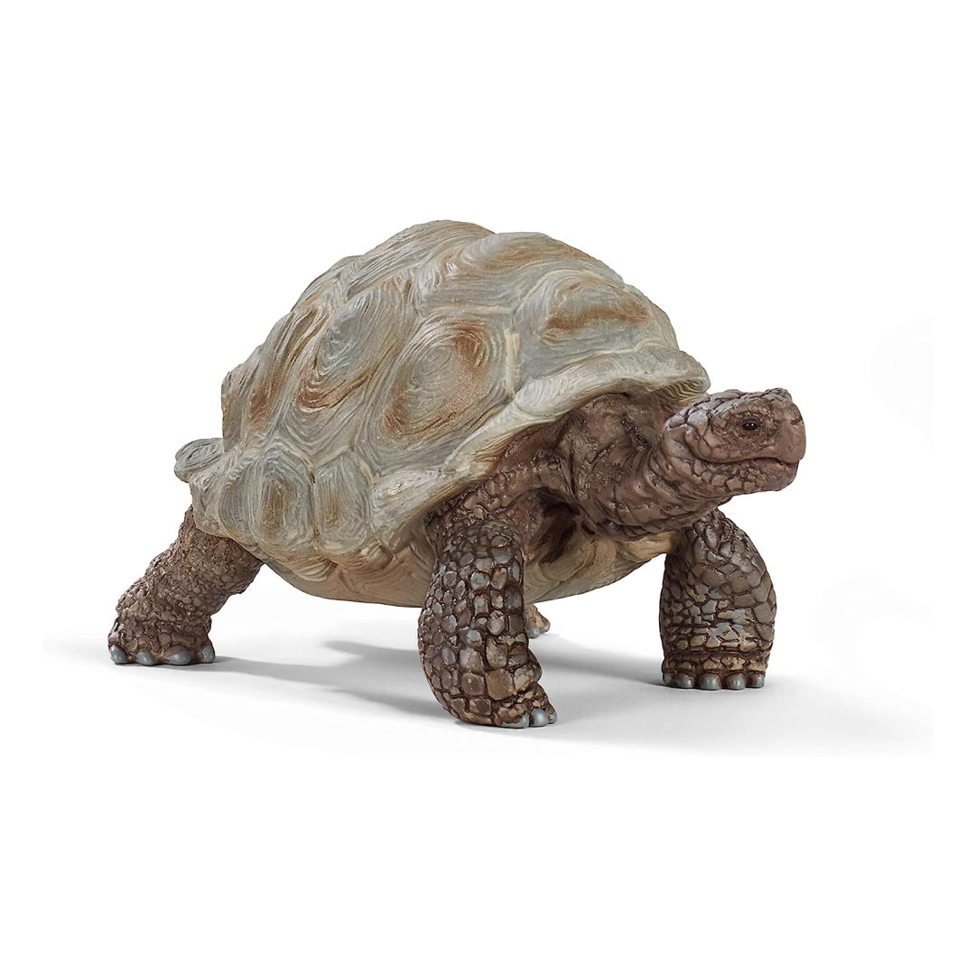 Wild Life Realistic Giant Tortoise Toy for Toddlers