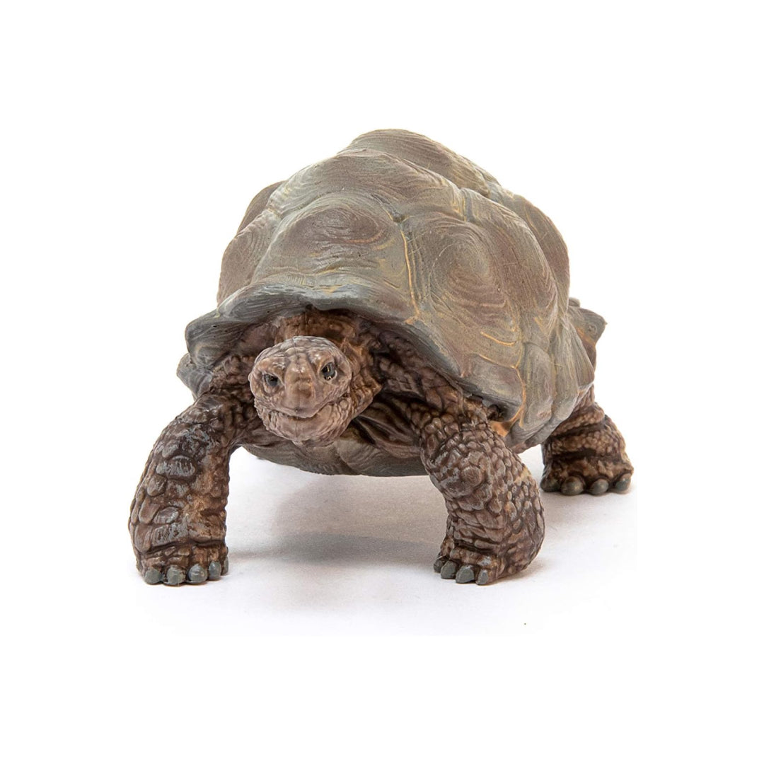 Wild Life Realistic Giant Tortoise Toy for Toddlers