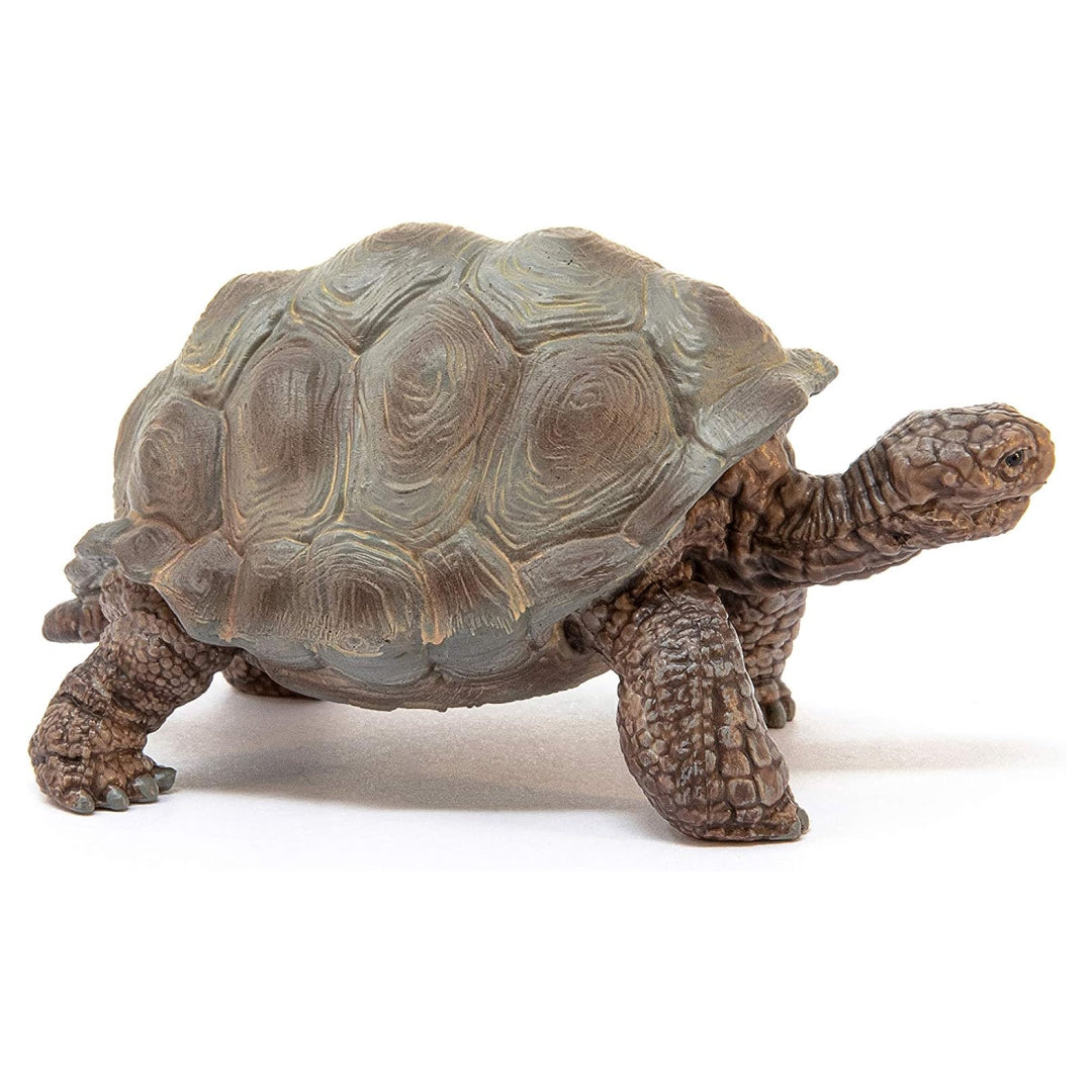 Wild Life Realistic Giant Tortoise Toy for Toddlers