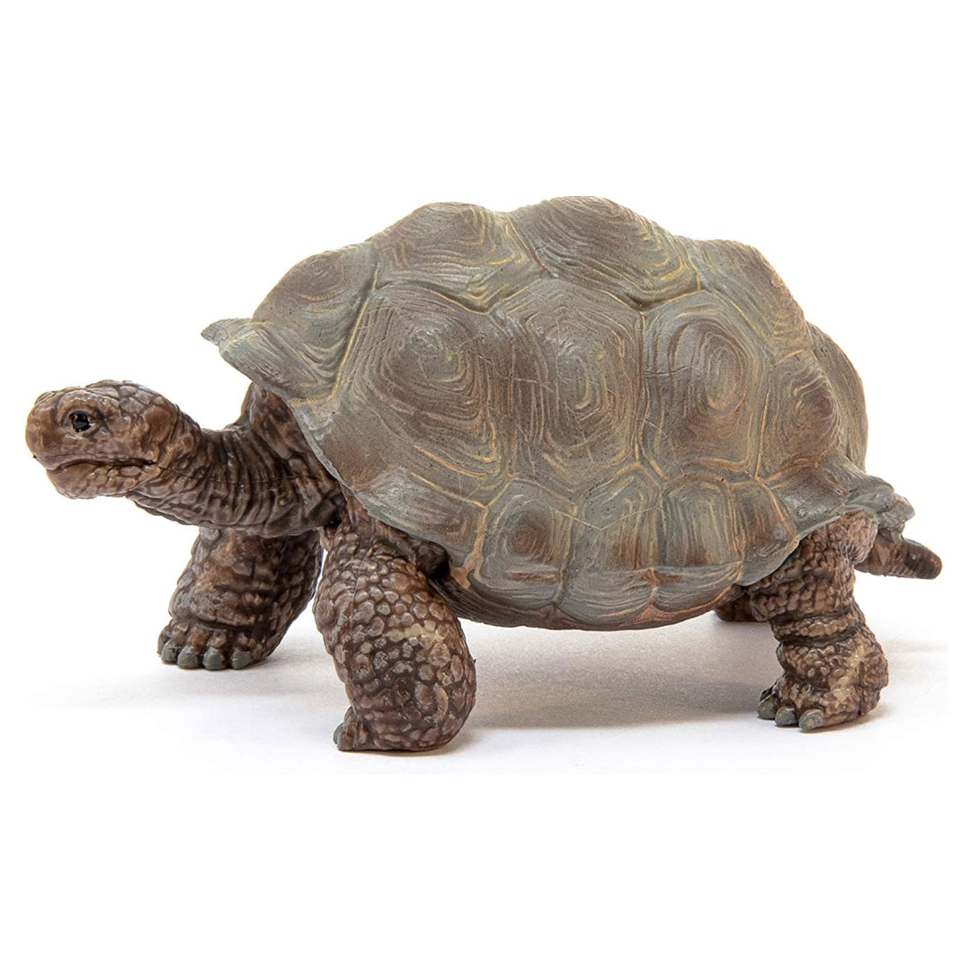 Wild Life Realistic Giant Tortoise Toy for Toddlers