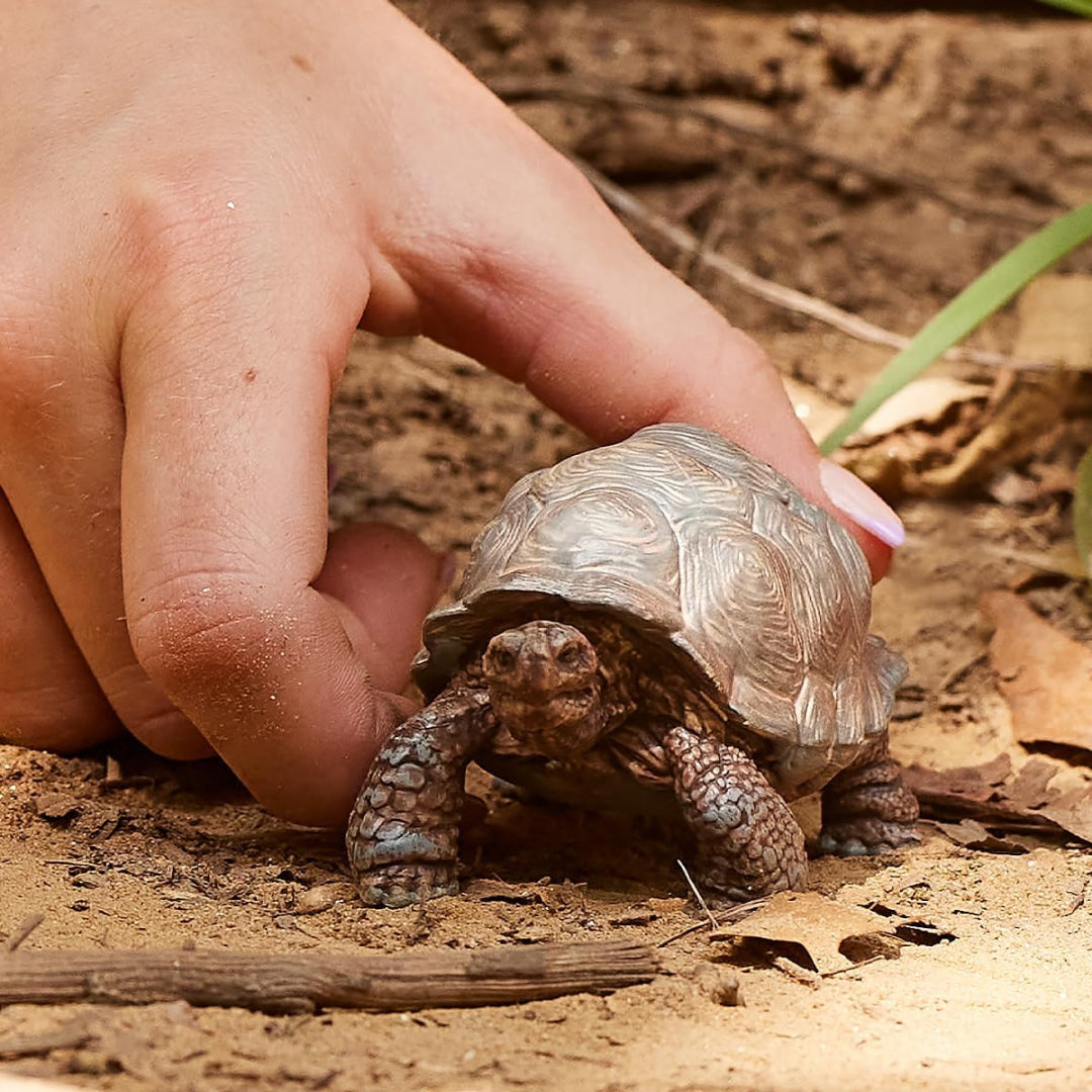 Wild Life Realistic Giant Tortoise Toy for Toddlers