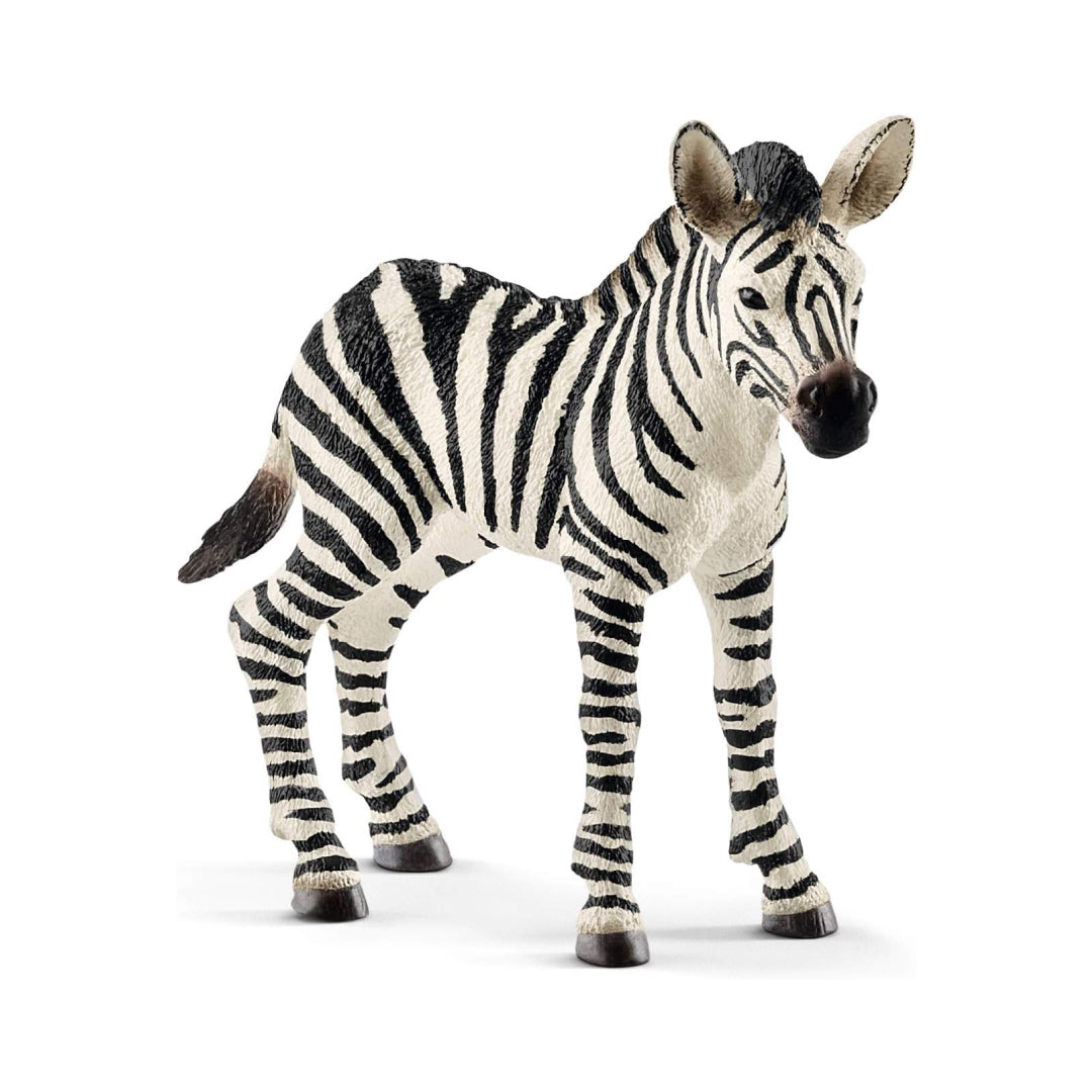 Zebra Foal Realistic Animal Figure Toy For Kids