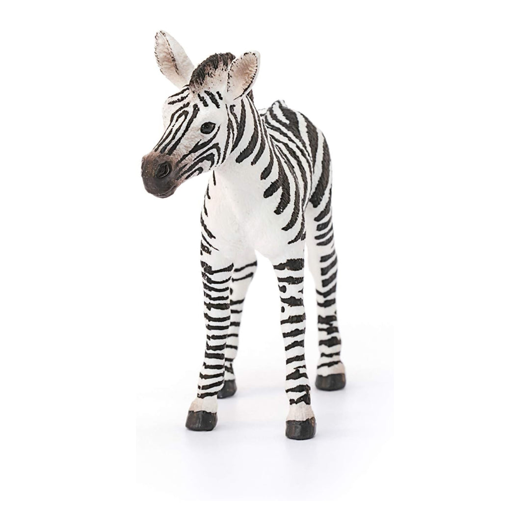 Zebra Foal Realistic Animal Figure Toy For Kids