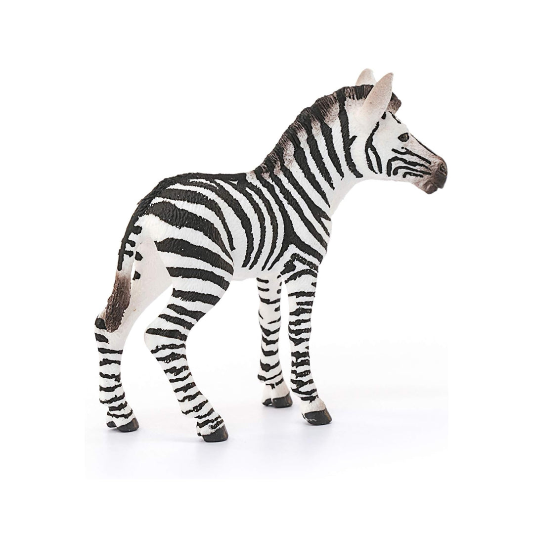 Zebra Foal Realistic Animal Figure Toy For Kids