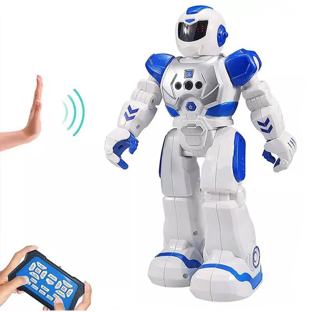 Smart RC Robot Action Walk Singing Figure Toy