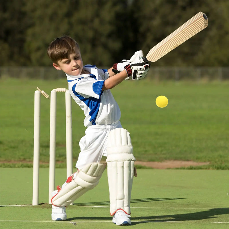 Cricket Fun Indoor and Outdoor Sports Set For Child