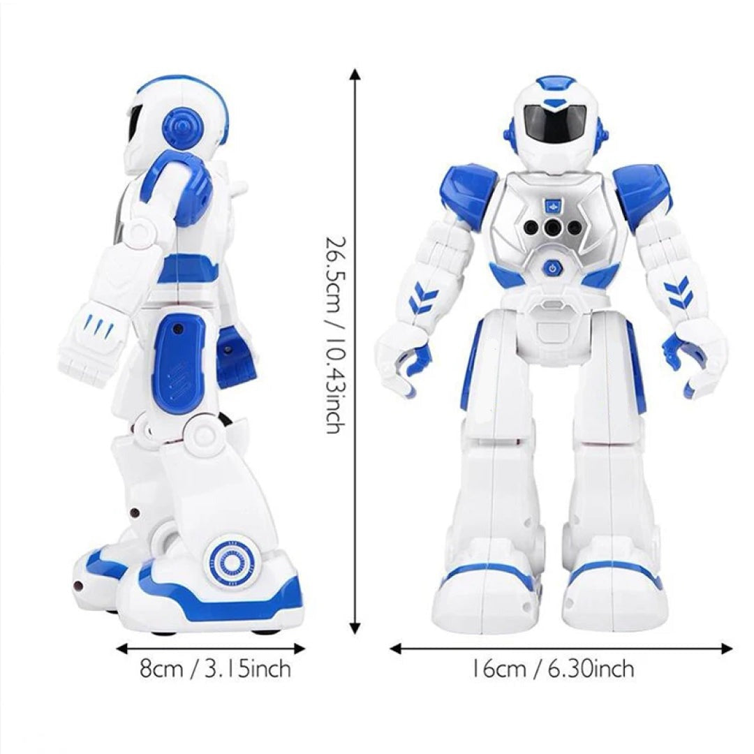 Smart RC Robot Action Walk Singing Figure Toy