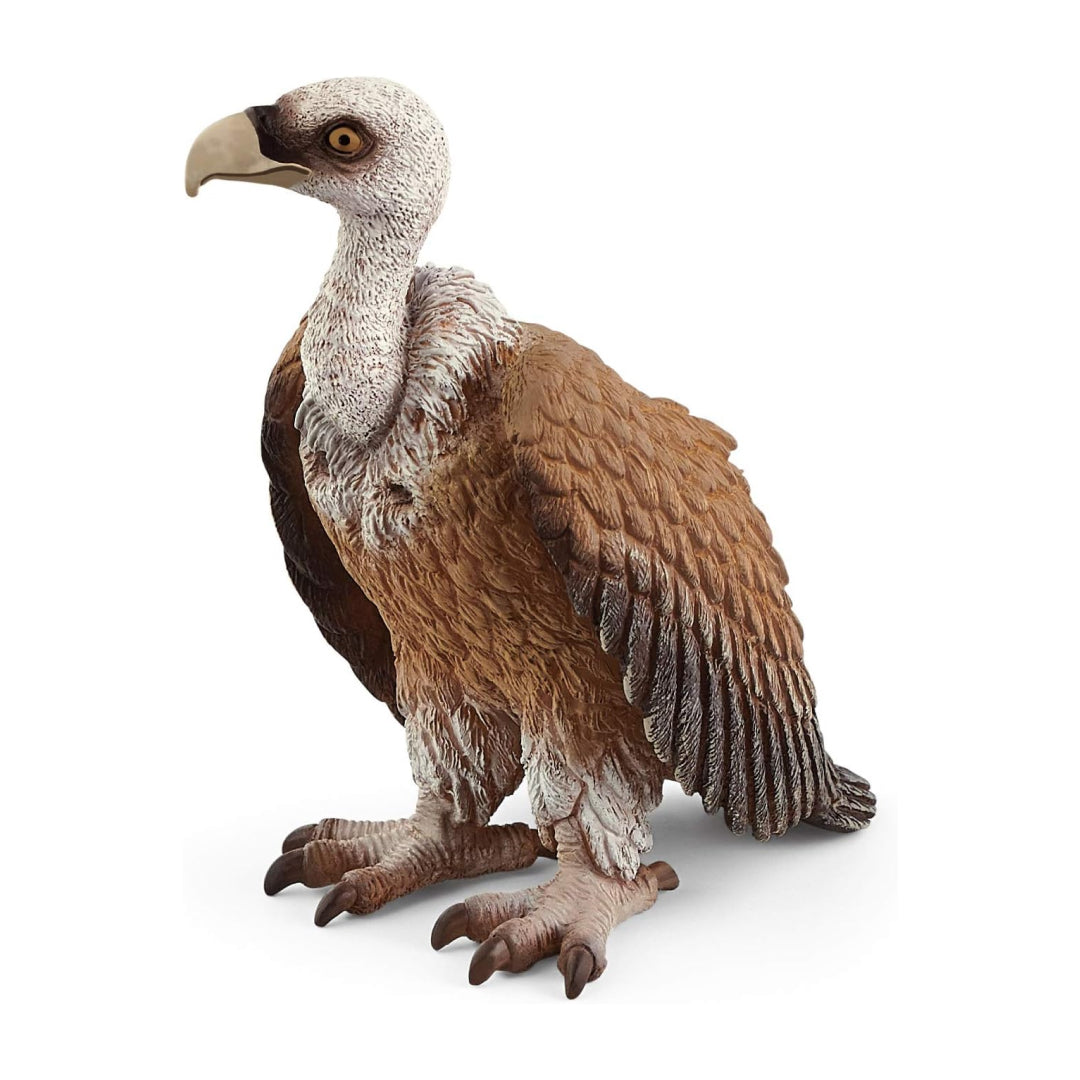 Realistic Vulture Bird Figure Toy For Kids