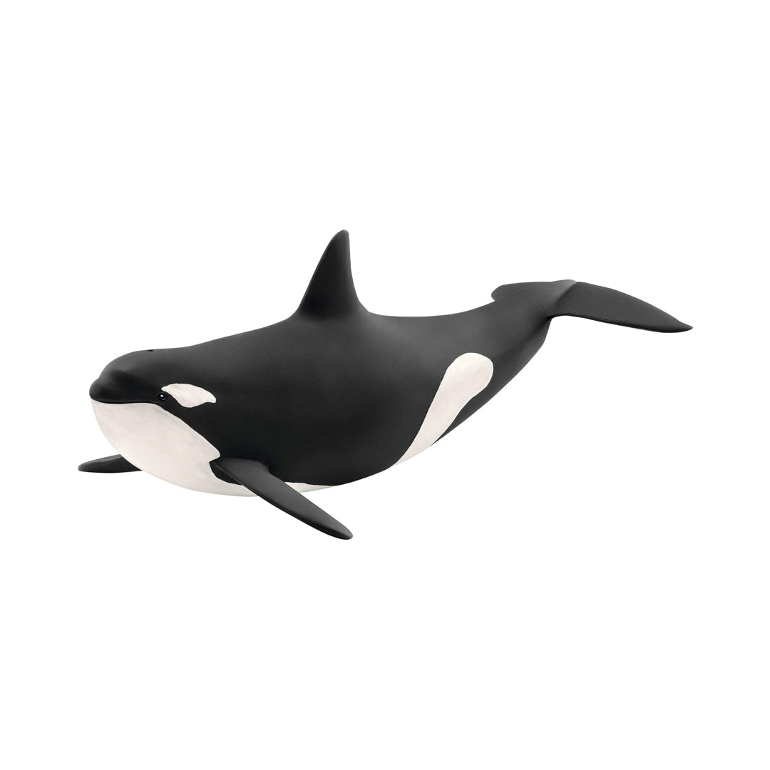 Realistic Killer Whale Figure Toy For Kids