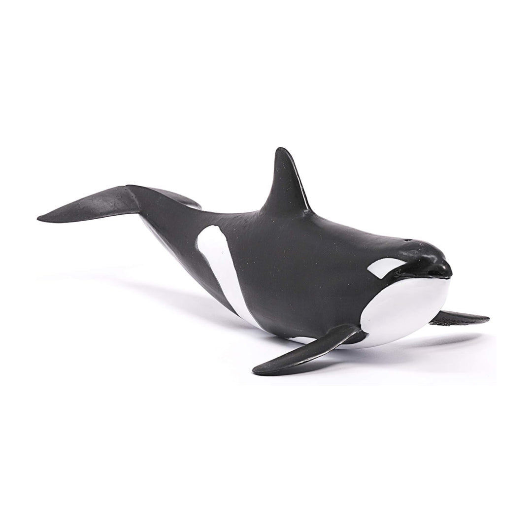 Realistic Killer Whale Figure Toy For Kids