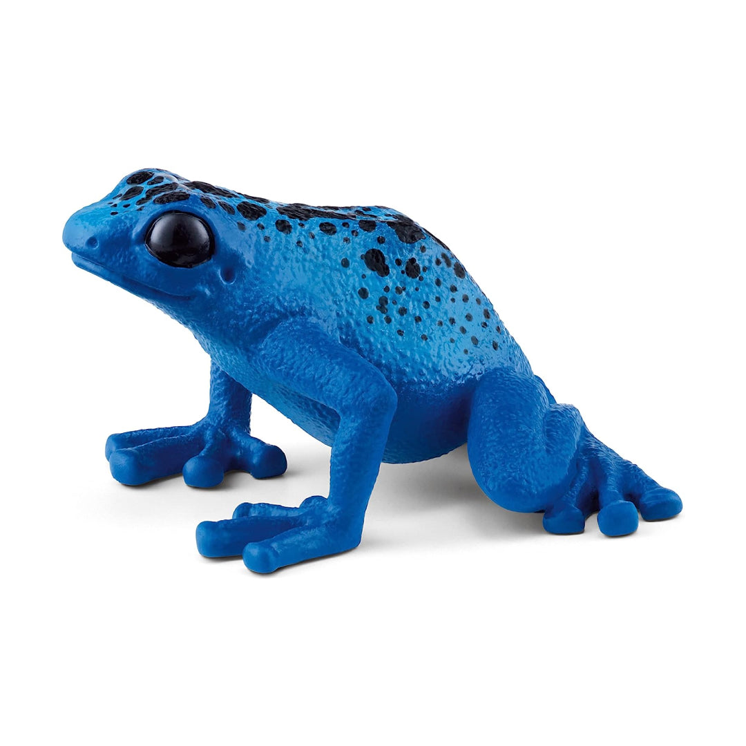 Realistic Wild Animal Poison Dart Frog Toy For Kids