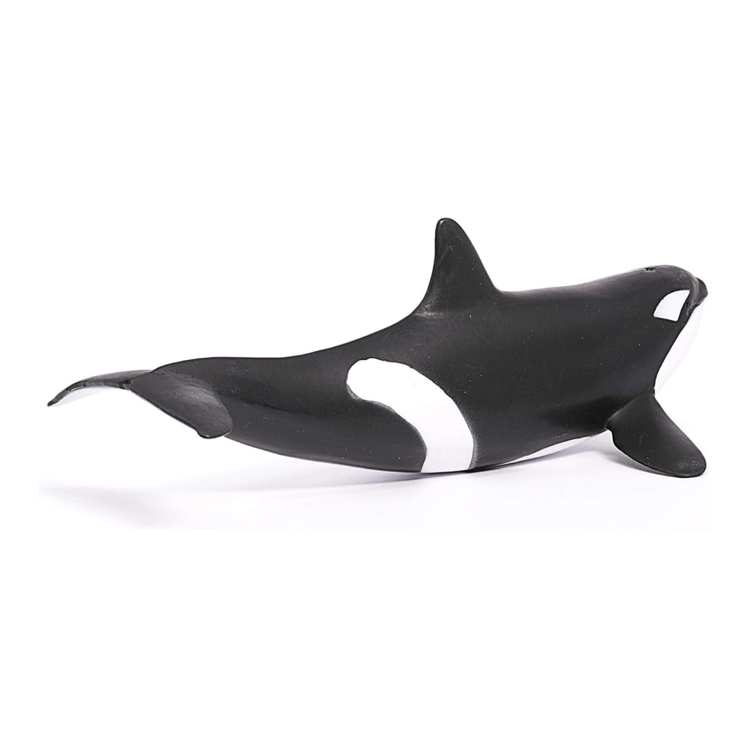 Realistic Killer Whale Figure Toy For Kids