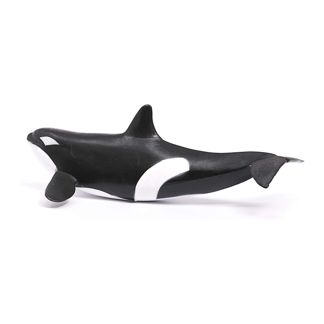 Realistic Killer Whale Figure Toy For Kids