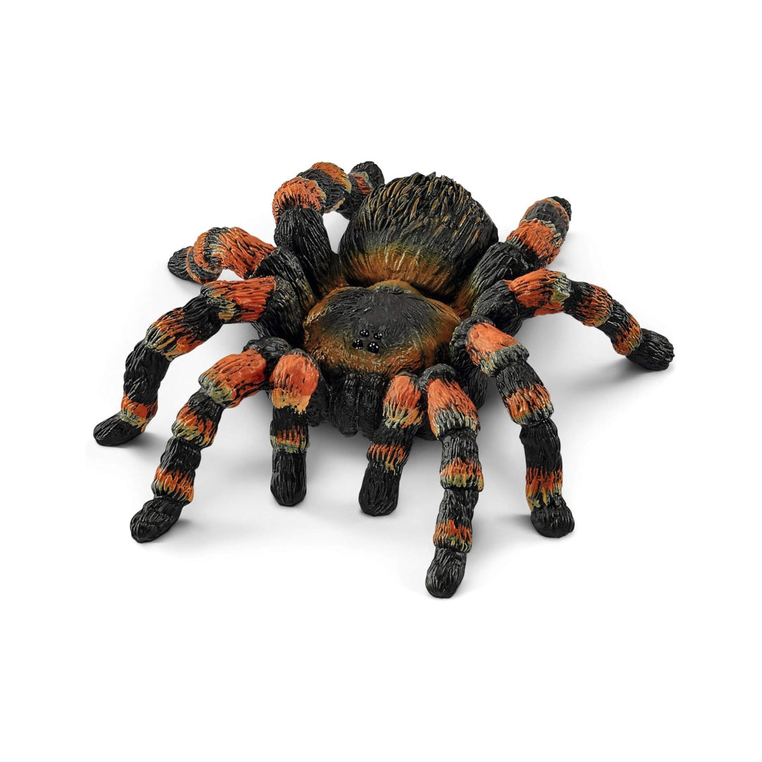 Realistic Tarantula Figure Toy For Kids