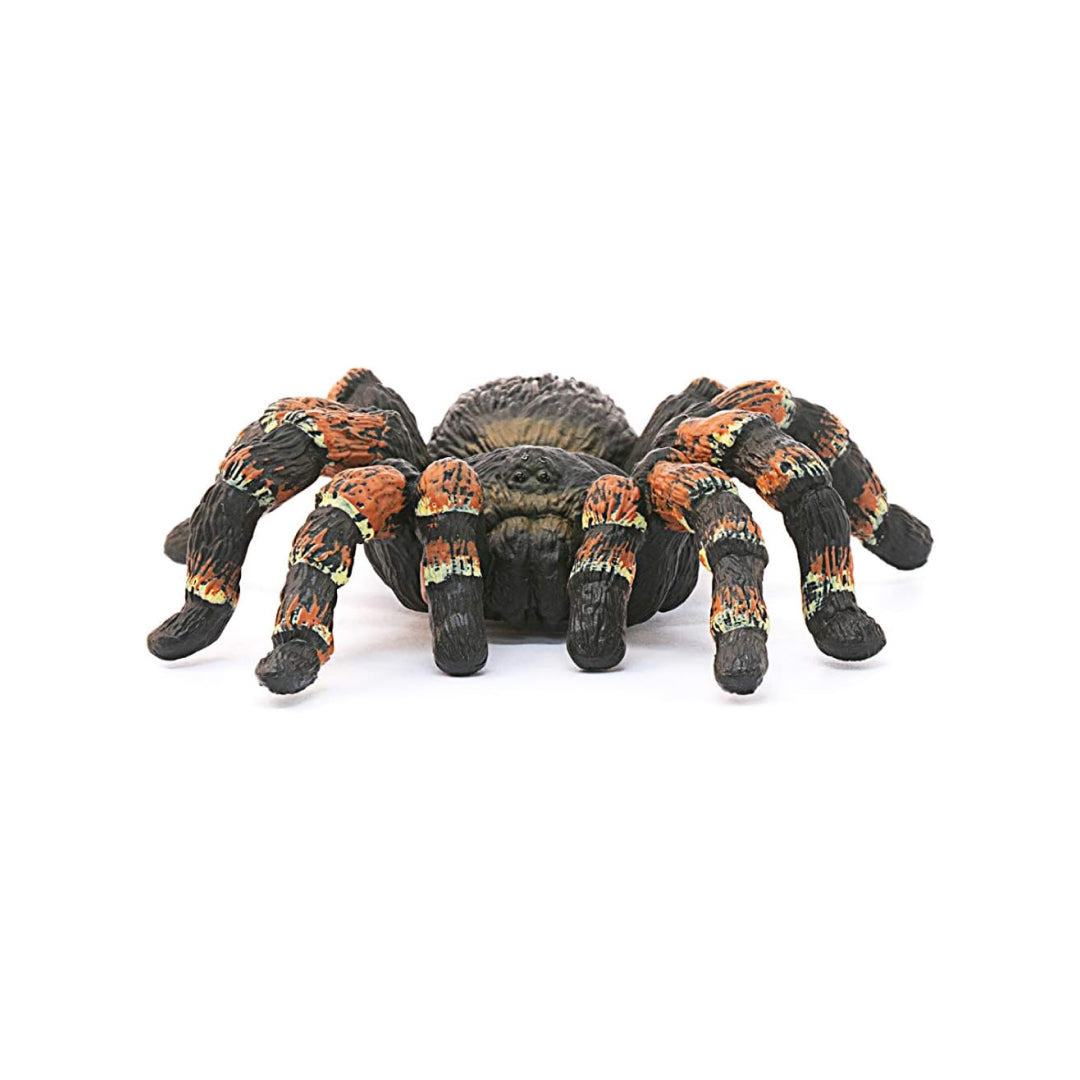 Realistic Tarantula Figure Toy For Kids