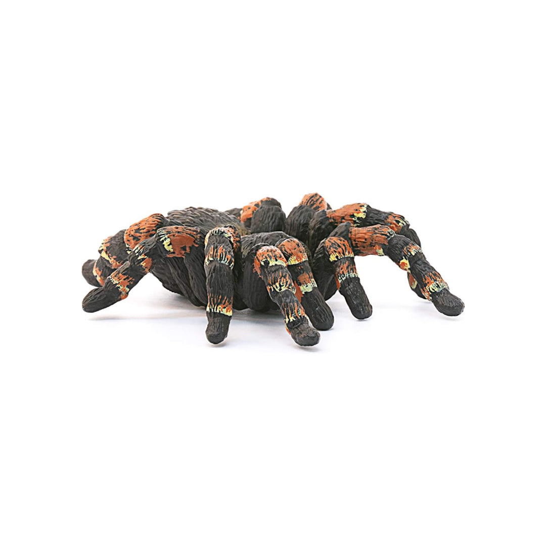 Realistic Tarantula Figure Toy For Kids