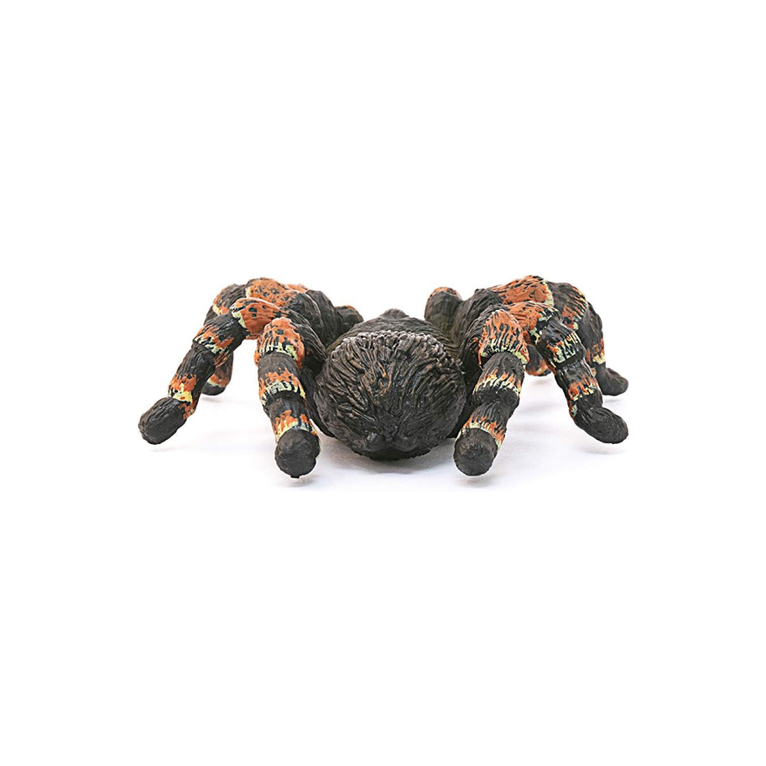 Realistic Tarantula Figure Toy For Kids