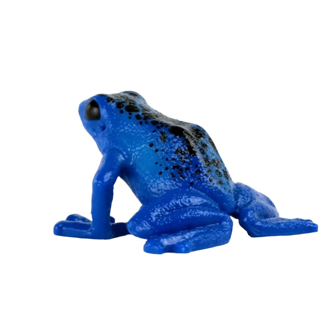 Realistic Wild Animal Poison Dart Frog Toy For Kids