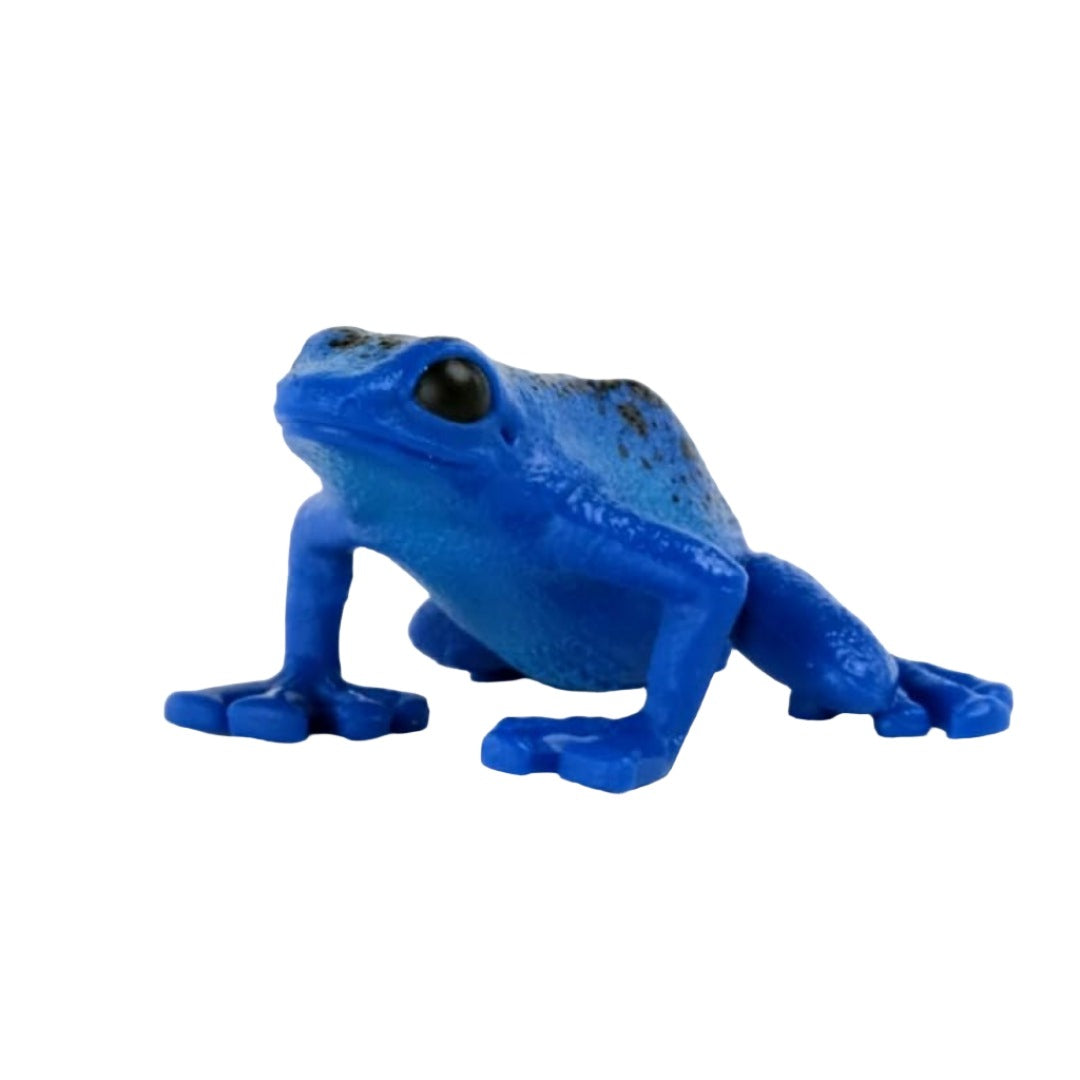 Realistic Wild Animal Poison Dart Frog Toy For Kids