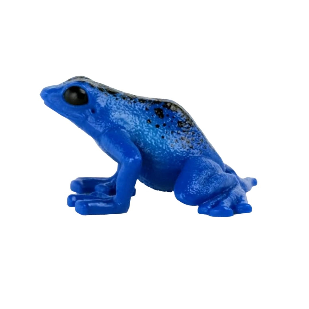 Realistic Wild Animal Poison Dart Frog Toy For Kids