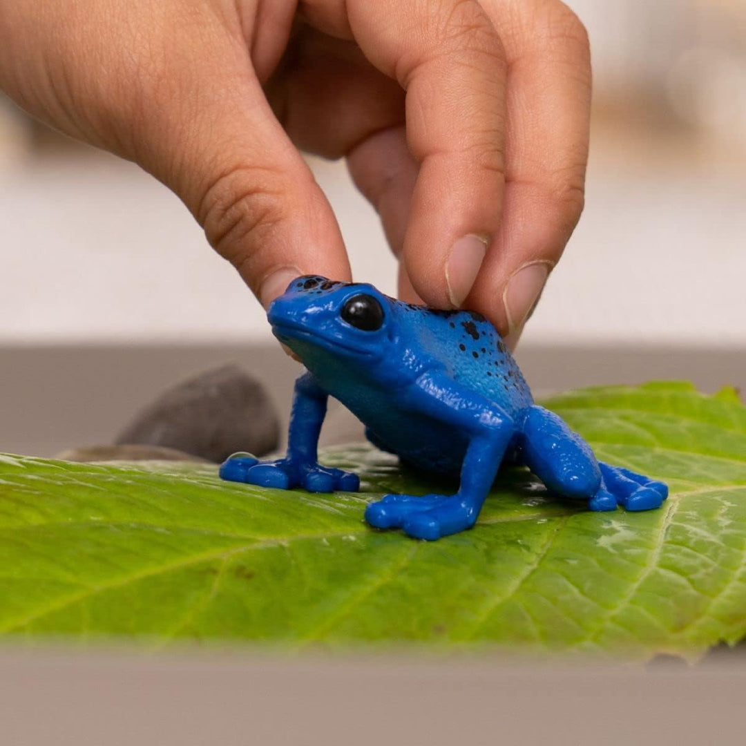 Realistic Wild Animal Poison Dart Frog Toy For Kids